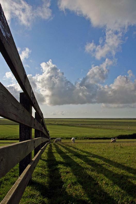 "Wattengebiet Entdeckungsreise" Tzummarum Esterno foto