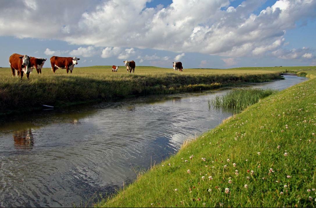 "Wattengebiet Entdeckungsreise" Tzummarum Esterno foto