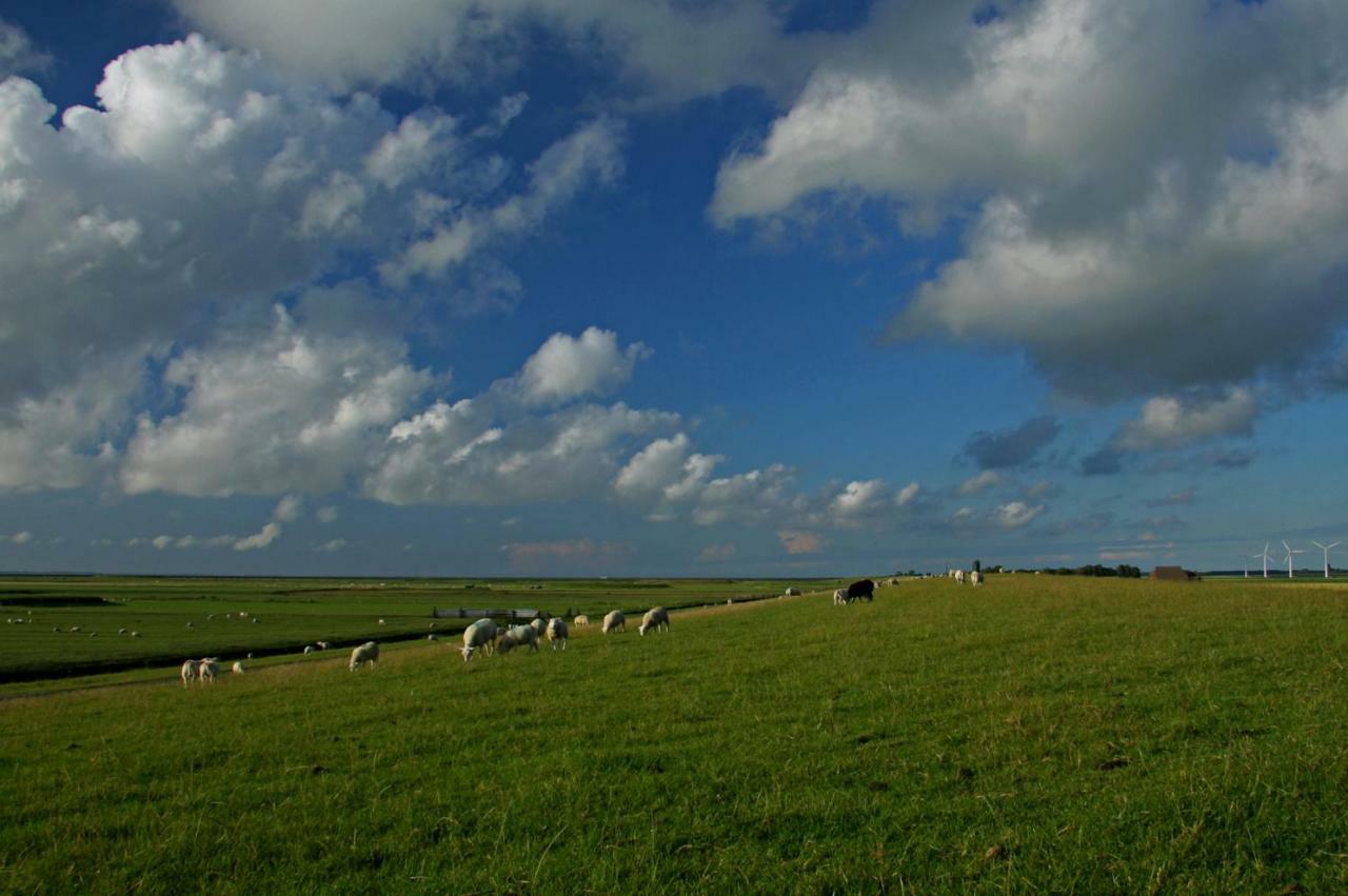 "Wattengebiet Entdeckungsreise" Tzummarum Esterno foto